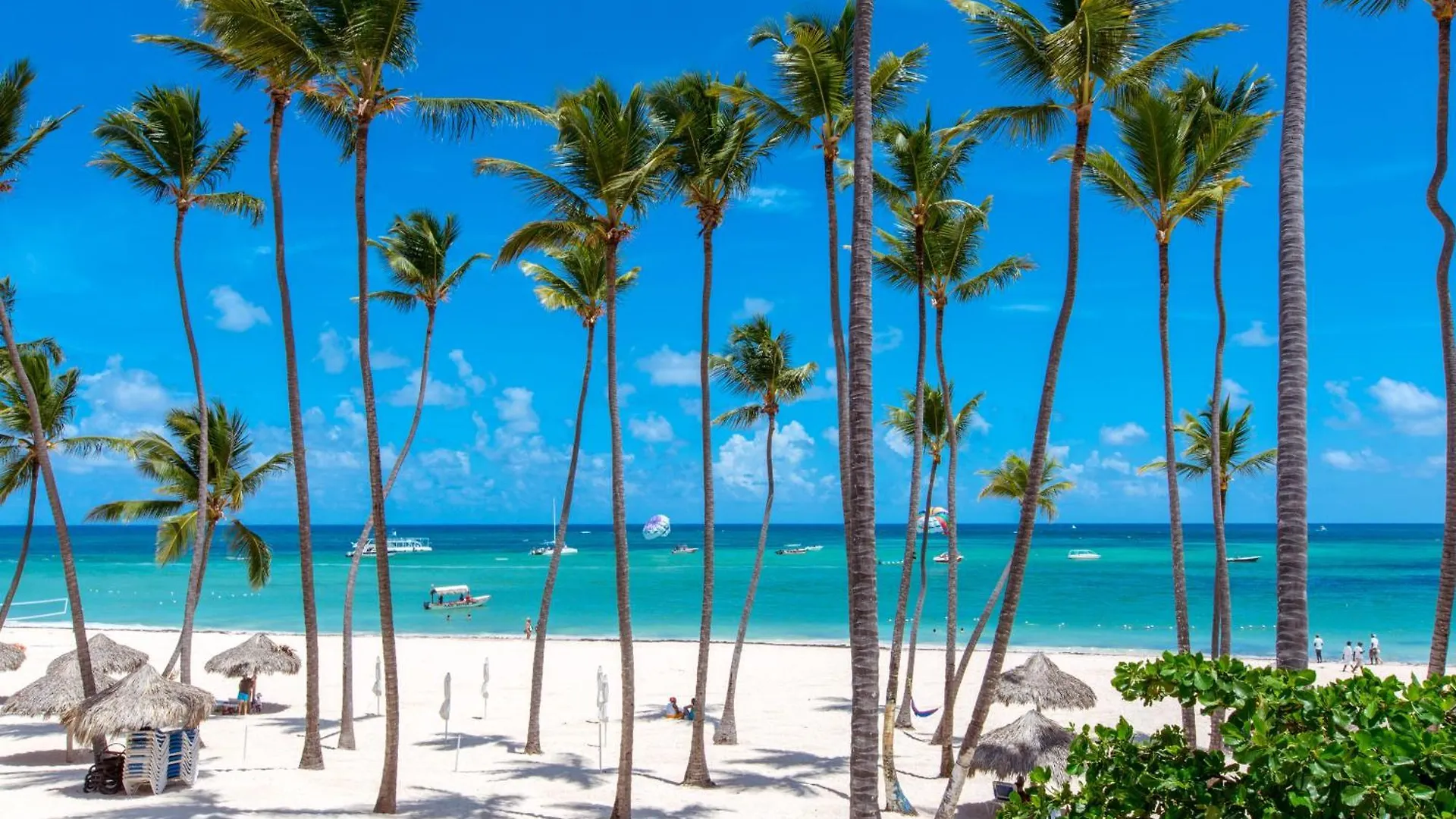 פונטה קאנה Aventura Studios And Suites - Los Corales Beach - Good Location With Many Restaurants מלון דירות
