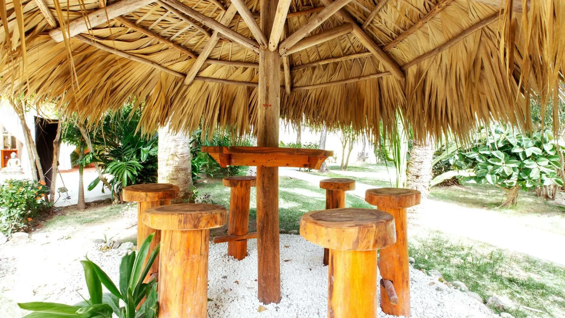 ***** Lägenhetshotell Aventura Studios And Suites - Los Corales Beach - Good Location With Many Restaurants Punta Cana Dominikanska republiken